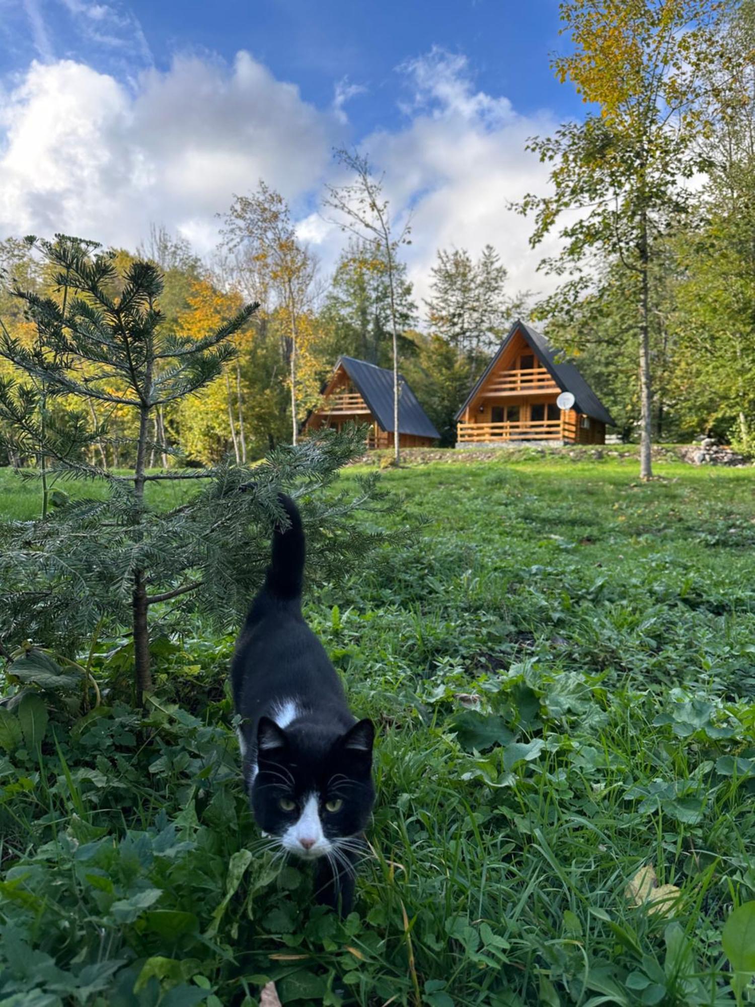 Ethno Village Long Story Kolasin Exterior photo